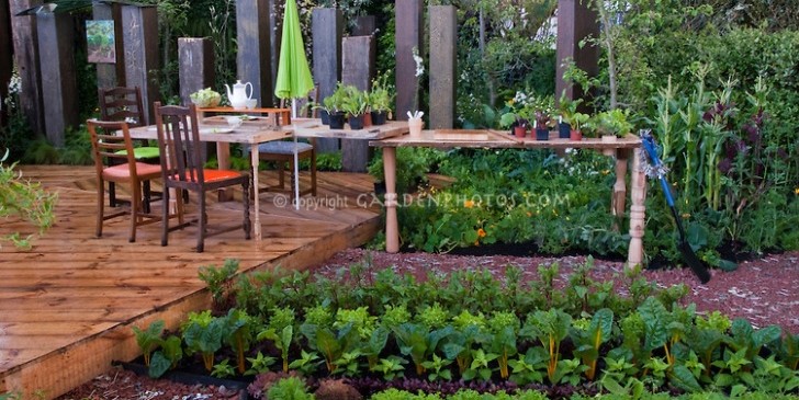 Backyard Farm Vegetable Garden