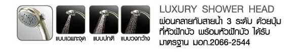 AW-Luxury-Shower-Head